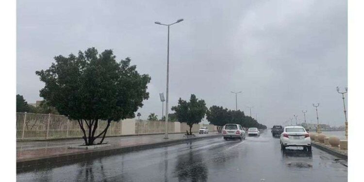 ما هي حالة الطقس في السعودية خلال رمضان 1446؟ توقعات الأرصاد بالتفصيل! ما هي حالة الطقس في السعودية خلال رمضان 1446؟ توقعات الأرصاد بالتفصيل!