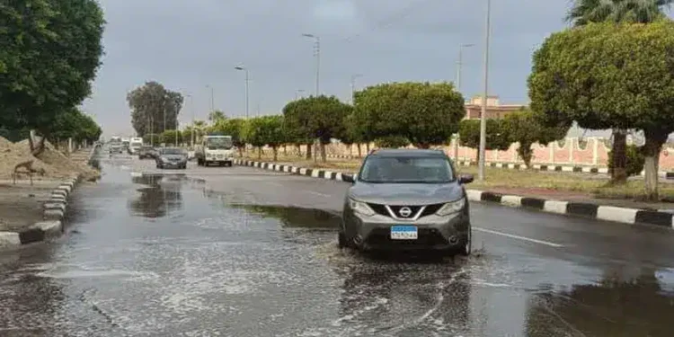 عاصفة قطبية وأمطار غزيرة تضرب الرياض: تحذيرات ونصائح هامة من الأرصاد عاصفة قطبية وأمطار غزيرة تضرب الرياض: تحذيرات ونصائح هامة من الأرصاد