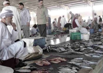 كيف تطور الاقتصاد العماني؟ من الزراعة إلى التنوع والاستدامة!