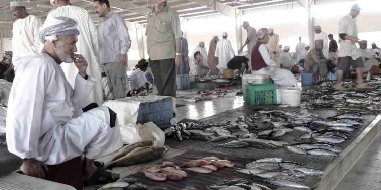 كيف تطور الاقتصاد العماني؟ من الزراعة إلى التنوع والاستدامة! كيف تطور الاقتصاد العماني؟ من الزراعة إلى التنوع والاستدامة!