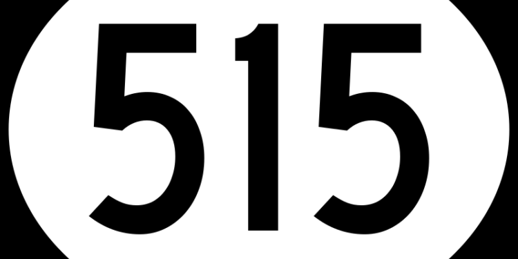 ما هي القبيلة صاحبة الرقم 515؟ اكتشف أسرار وأصول قبيلة النعيم ما هي القبيلة صاحبة الرقم 515؟ اكتشف أسرار وأصول قبيلة النعيم