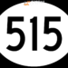 ما هي القبيلة صاحبة الرقم 515؟ اكتشف أسرار وأصول قبيلة النعيم ما هي القبيلة صاحبة الرقم 515؟ اكتشف أسرار وأصول قبيلة النعيم