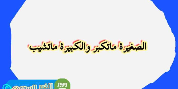 لغز الصغيرة لا تكبر والكبيرة لا تشيب – الحل والتفسير المنطقي لغز الصغيرة لا تكبر والكبيرة لا تشيب – الحل والتفسير المنطقي