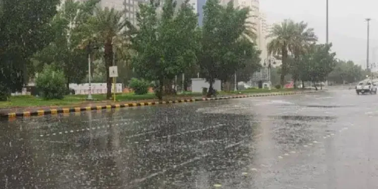 تحذير طارئ من الأرصاد السعودية: أمطار غزيرة وسيول تضرب هذه المناطق قريبًا! تحذير طارئ من الأرصاد السعودية: أمطار غزيرة وسيول تضرب هذه المناطق قريبًا!