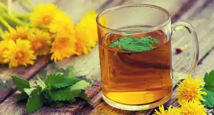 شوك الجمل: العشبة السحرية لتنظيف الكبد ومحاربة السرطان شوك الجمل: العشبة السحرية لتنظيف الكبد ومحاربة السرطان