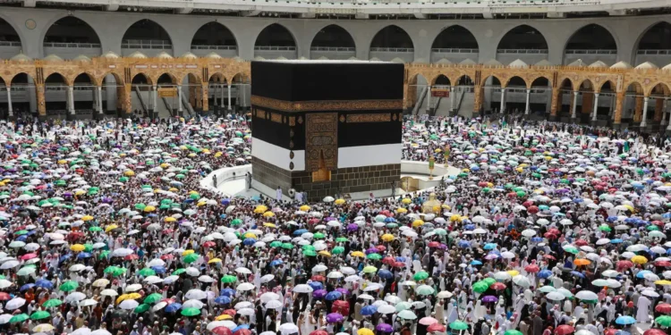 وزارة الحج والعمرة تُطلق خدمة ‘المسار الفوري’ عبر تطبيق نسك: طريقة سهلة وسريعة لزيارة الروضة الشريفة! وزارة الحج والعمرة تُطلق خدمة ‘المسار الفوري’ عبر تطبيق نسك: طريقة سهلة وسريعة لزيارة الروضة الشريفة!